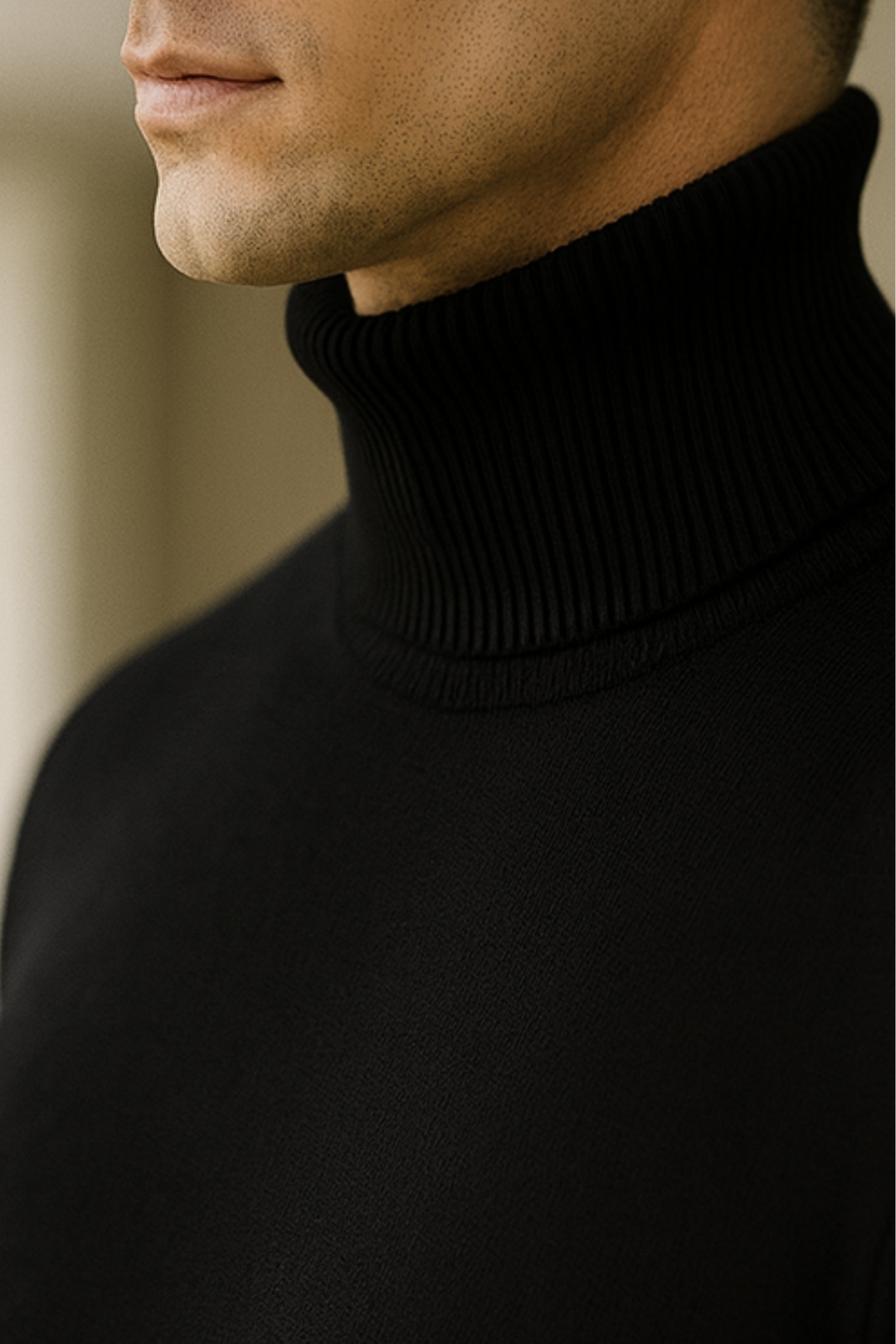 Enzo | Strick-Rollkragenpullover