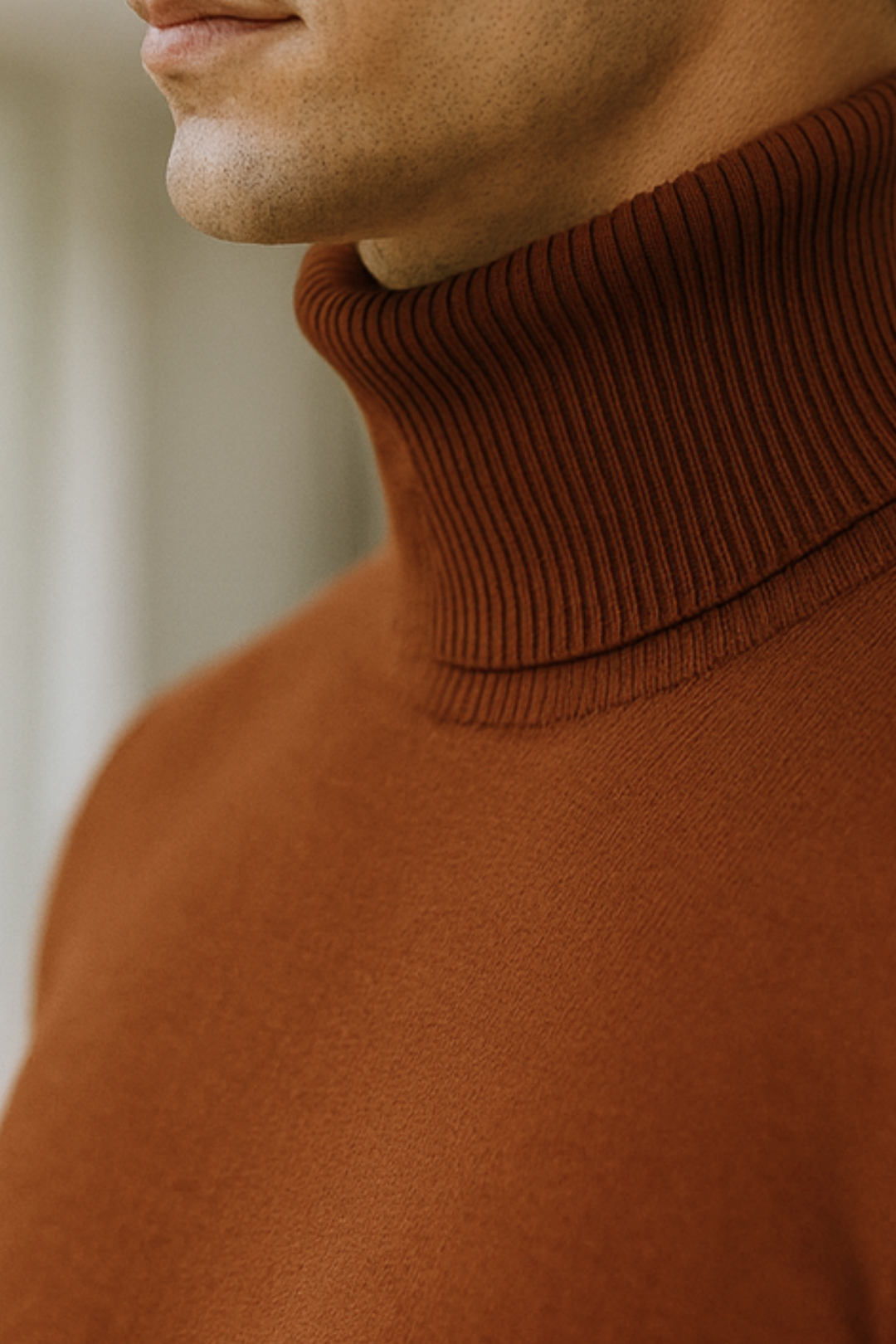 Enzo | Strick-Rollkragenpullover