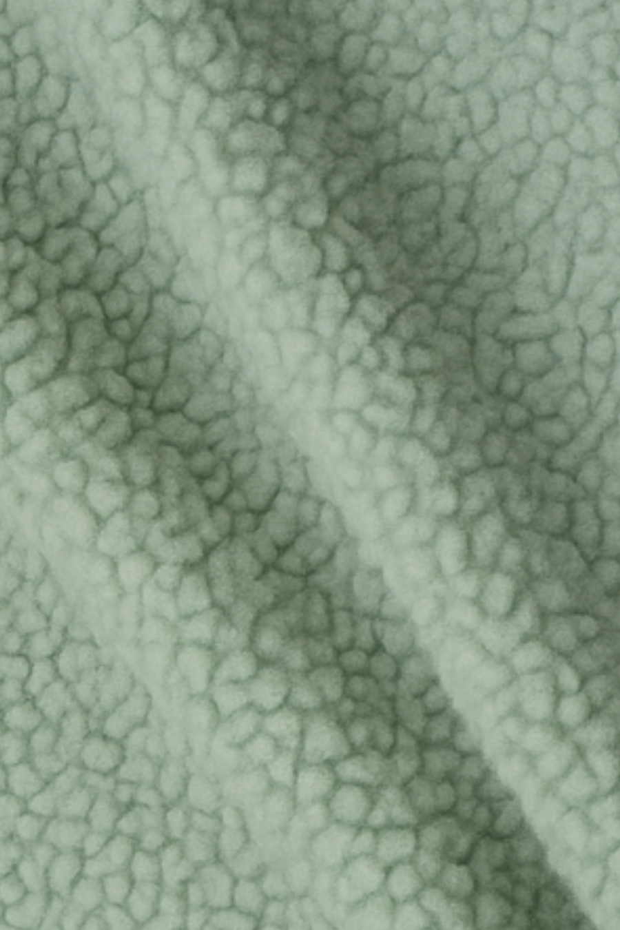Serena Fleece Jacket in Green