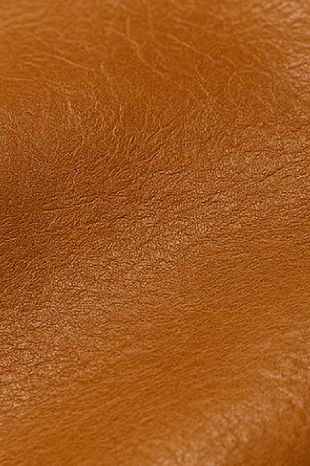 Robin Rider Lederjacke - Braun