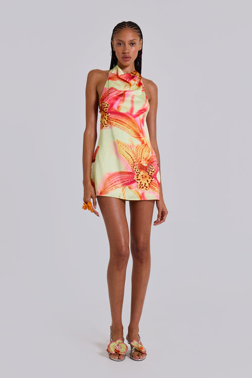 Lana Tropisches Neckholder-Mini Dress