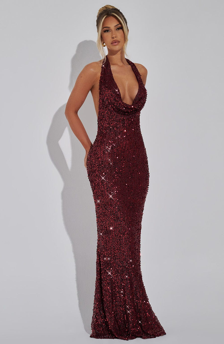 Ardena Elegant Maxi Dress